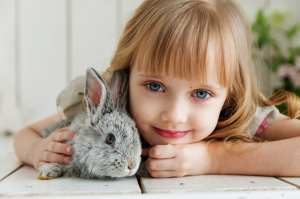 Grey rabbit and girl