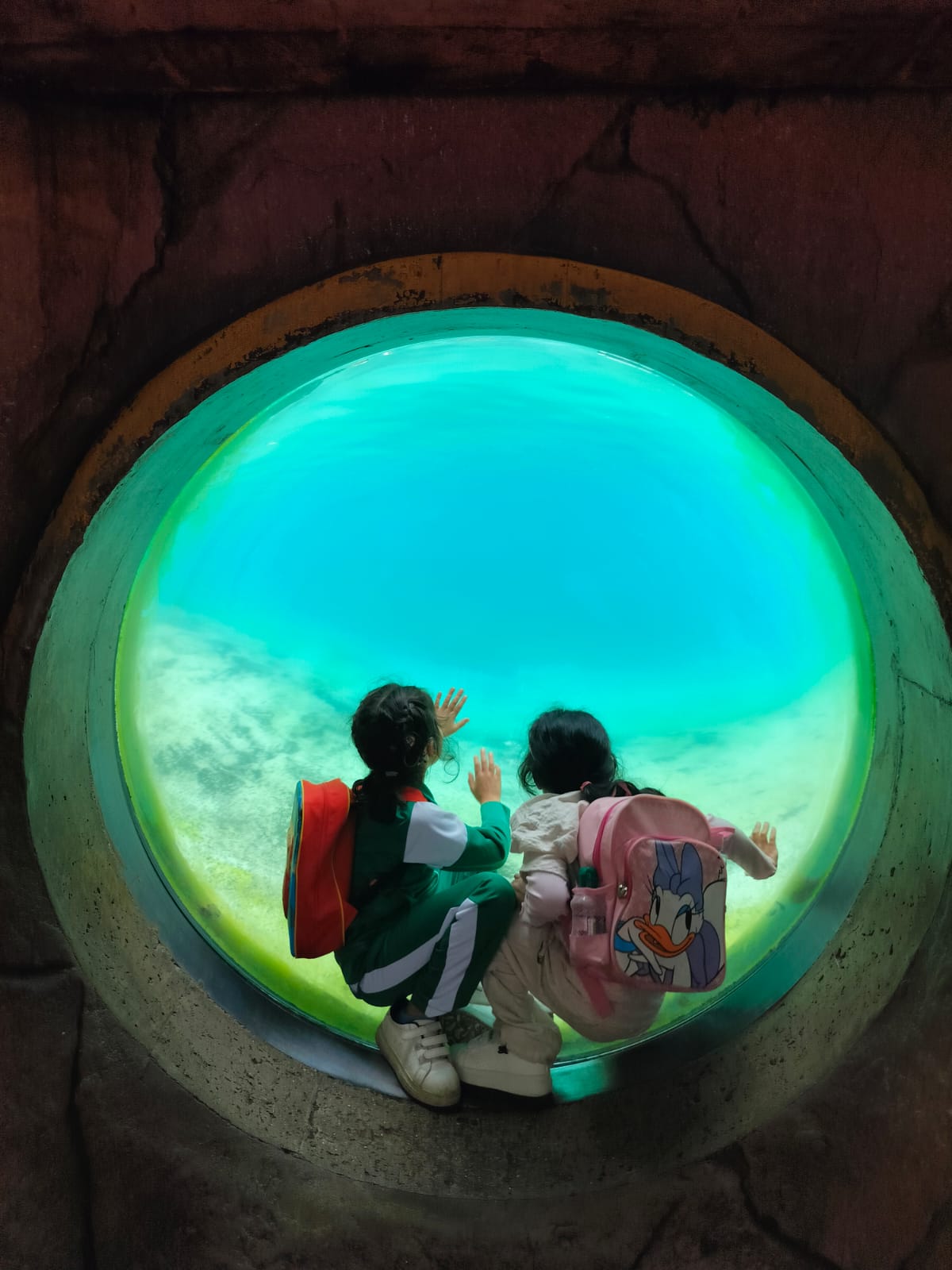 7aee2c2b-9066-46d3-8604-988f14ec6a5d